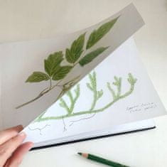 Makaszka Pásové Podložky - Herbarium