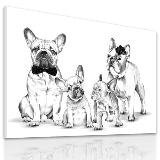 LUDESIGN Obraz na plátně BULDOG FAMILY IN BW - B různé rozměry Ludesign ludesign obrazy: 80x60 cm