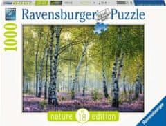 Ravensburger Puzzle Březový háj