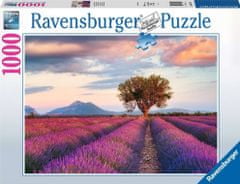 Ravensburger Puzzle Levandulové pole