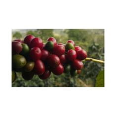 COFFEEDREAM PERU FINCA ROSENHEIM - Hmotnost: 1000g, Typ kávy: Velmi jemné mletí - džezva, Způsob balení: běžný třívrstvý sáček