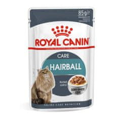 Royal Canin FHN HAIRBALL CARE IN GRAVY 85g kapsička ve šťávě na podporu vylučování chomáčů chlupů