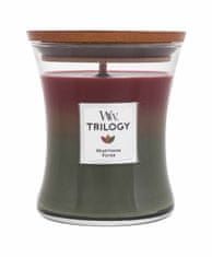 Woodwick 275g trilogy heartside, vonná svíčka