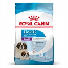 Royal Canin Giant Starter Mother & Baby Dog 15 kg granule pro březí a kojící feny a štěňata