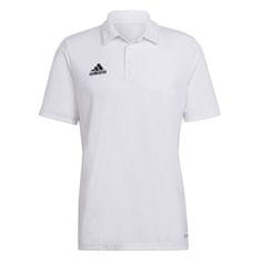 Adidas ENT22 POLO, ENT22 POLO | HC5067 | WHITE | XL