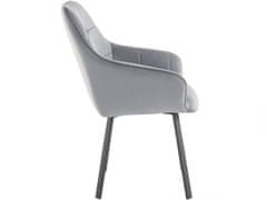 Danish Style Jídelní židle Pamela (SADA 2 ks), samet, šedá