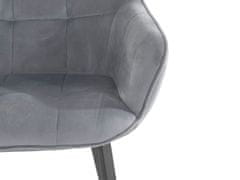 Danish Style Jídelní židle Pamela (SADA 2 ks), samet, šedá