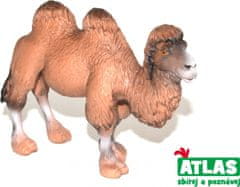 Atlas  C - Figurka Velbloud 11 cm