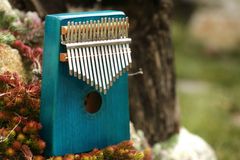 Veles-X Woodman Kalimba Blue