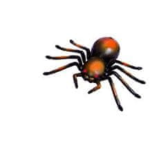 ORBICO WILDROID - Tarantule R/C, krabice