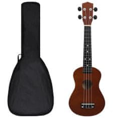 Vidaxl Set sopránové ukulele s obalem pro děti tmavé dřevo 23"