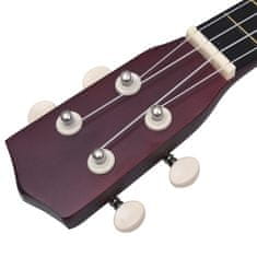 Vidaxl Set sopránové ukulele s obalem pro děti světlé dřevo 21"