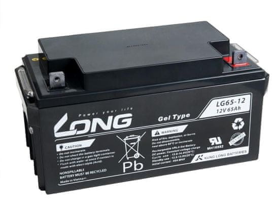 Long Long 12V 65Ah olověný akumulátor F8 LongLife (WPL65-12AN)