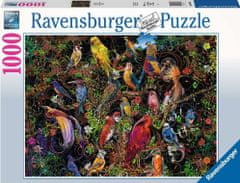 Ravensburger Puzzle Namalovaní ptáci