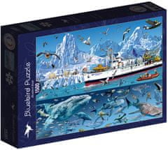 Blue Bird Puzzle Ledoborec