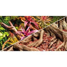 HOBBY aquaristic HOBBY Pozadí oboustranné Jungle / Strangler Fig 50cm x 25m