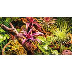 HOBBY aquaristic HOBBY Pozadí oboustranné Jungle / Strangler Fig 60cm x 25m