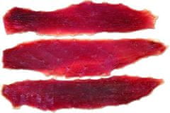 Wanpy Dog Duck Jerky 100 g