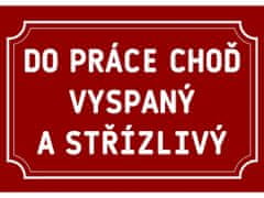 Cedule-Cedulky Plechová cedulka Do práce choď