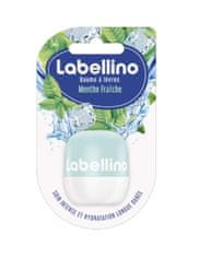 Labello Labellino, Menthe Fraiche, balzám na rty, 1 kus