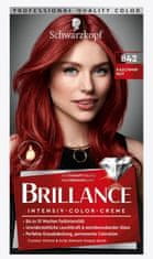 Schwarzkopf Schwarzkopf, Brilliance. Barvicí krém, Kaschmirrot 842, 1 kus