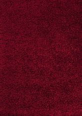 eoshop Kusový koberec Dream Shaggy 4000 red (Varianta: 120 x 170 cm)