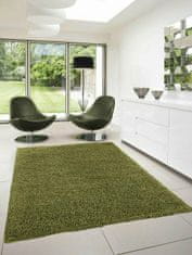 eoshop Kusový koberec Dream Shaggy 4000 green (Varianta: 120 x 170 cm)