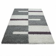 eoshop Kusový koberec Gala shaggy 2505 lila (Varianta: 60 x 110 cm)