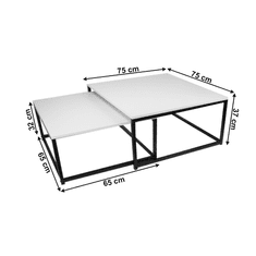 KONDELA Set dvou konferenčních stolků, matná bílá / černá, KASTLER NEW TYP 1