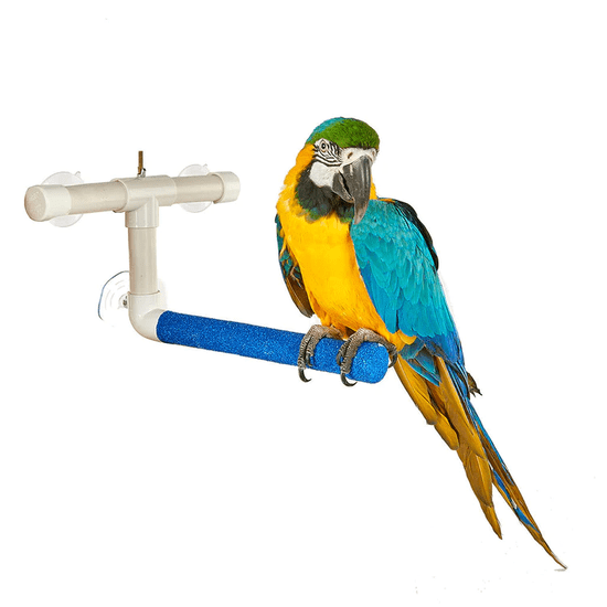 Parrotclub Sprchové bidlo L 35cm