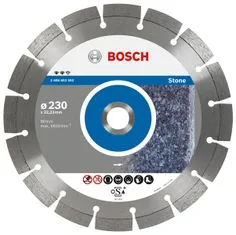 Bosch Diamantový kotouč 125X22 Seg Stone