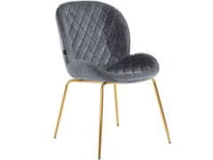 Danish Style Jídelní židle Miranda (SADA 2 ks), samet, šedá