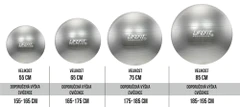 LIFEFIT Gymnastický míč LIFEFIT ANTI-BURST 55 cm, stříbrný