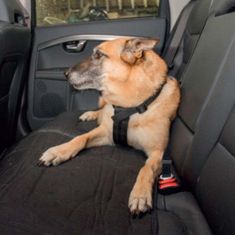 Duvo+ Bezpečnostní postroj pro psy do auta 70 - 95 cm