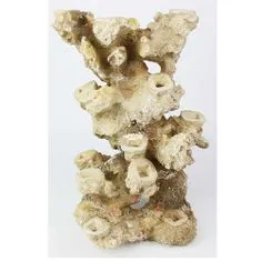 EBI AQUA DELLA CORAL REEF XL 33x24x49cm, for 13 corals