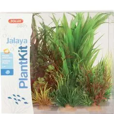 Zolux Set umělých rostlin JALAYA - typ 3