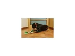 Merco Doggie hračka pro psy zelená varianta 40021