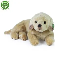 Rappa Plyšový pes labrador ležící 38 cm ECO-FRIENDLY