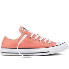 Converse Boty Chuck Taylor All Star Ox Sunblush