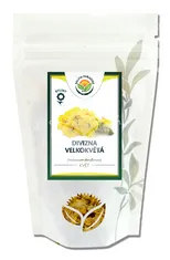 Salvia Paradise Divizna velkokvětá květ Salvia Paradise 40 g