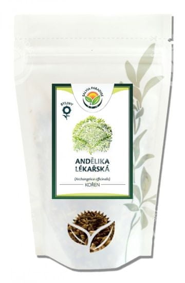 Salvia Paradise Andělika lékařská kořen SALVIA PARADISE 100 g