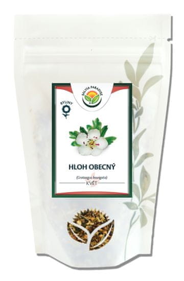 Salvia Paradise Hloh obecný květ, SALVIA PARADISE 50 g