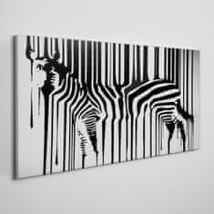 COLORAY.CZ Obraz na plátně zebra 100x50 cm