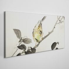 COLORAY.CZ Obraz na plátně Větev živočišného ptáka 120x60 cm