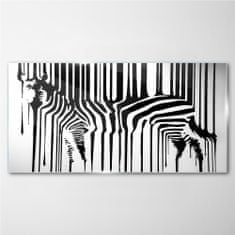 COLORAY.CZ Obraz na skle zebra 120x60 cm