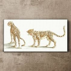 COLORAY.CZ Obraz na plátně Zvířata kočky leopardi 120x60 cm
