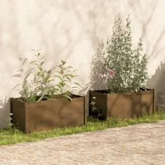 Petromila Zahradní truhlíky 2 ks medově hnědé 100 x 50 x 50 cm borovice