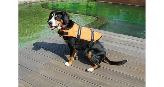 Merco Dog Swimmer plovací vesta pro psa oranžová, L