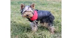 Merco Vest Doggie kabátek pro psy červená, S
