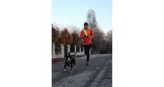 Merco Runner Buddy 1.0 vodítko na běhání se psem žlutá, 1 ks